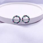 Brinco circulo cravejado colorido